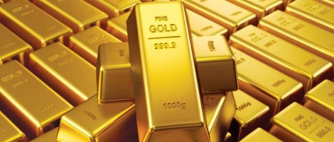 [Image: Export Gold]