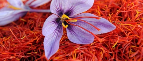 [Image: Saffron Import]