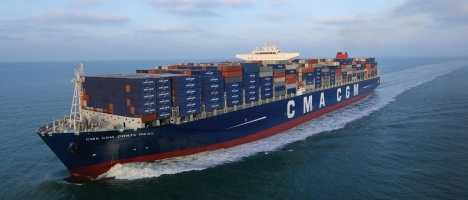 [Image: Start Up leather food Export]