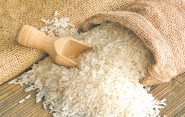 [Image: Rice Import]