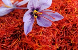 [Image: Saffron Import]