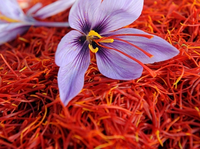 [Image: Saffron Import]